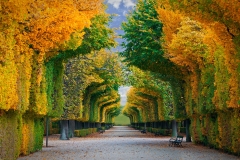 1_landscapes-05