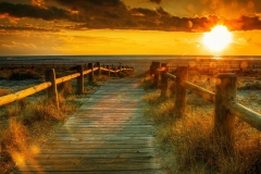 1_landscapes-06