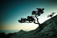 1_landscapes-08