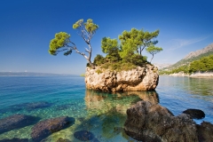 1_landscapes-12