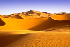 1_landscapes-13